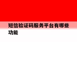 短信验证码服务平台有哪些功能