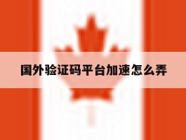 国外验证码平台加速怎么弄