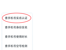 实卡验证码平台怎么查询的