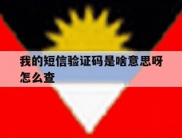 我的短信验证码是啥意思呀怎么查