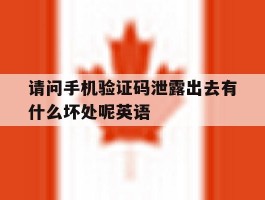 请问手机验证码泄露出去有什么坏处呢英语
