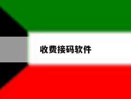 收费接码软件