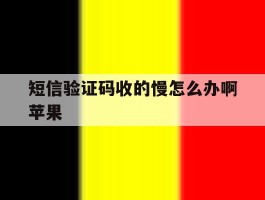 短信验证码收的慢怎么办啊苹果