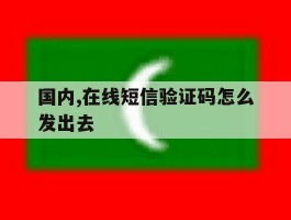 国内,在线短信验证码怎么发出去