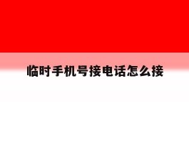 临时手机号接电话怎么接