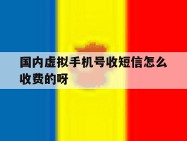 国内虚拟手机号收短信怎么收费的呀
