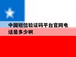 包含中国短信验证码平台官网电话是多少啊的词条