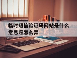 临时短信验证码网站是什么意思呀怎么弄