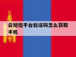 云短信平台验证码怎么获取手机