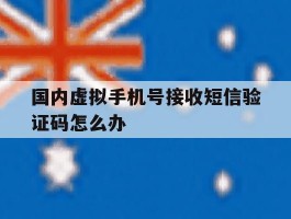 国内虚拟手机号接收短信验证码怎么办