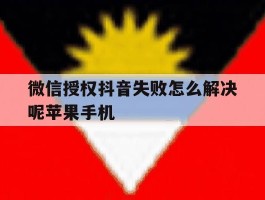 微信授权抖音失败怎么解决呢苹果手机