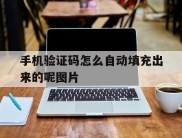 手机验证码怎么自动填充出来的呢图片