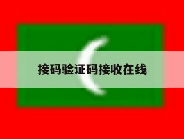 接码验证码接收在线