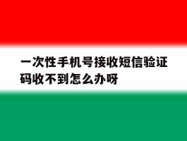 一次性手机号接收短信验证码收不到怎么办呀的简单介绍