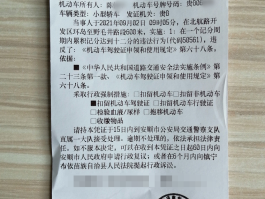 临时号牌会被抓拍吗怎么处罚的