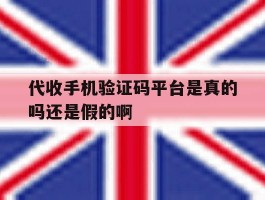 关于代收手机验证码平台是真的吗还是假的啊的信息