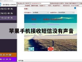 苹果手机接收短信没有声音