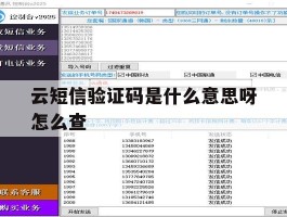 云短信验证码是什么意思呀怎么查