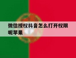 微信授权抖音怎么打开权限呢苹果