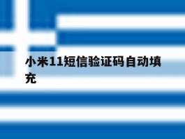 小米11短信验证码自动填充