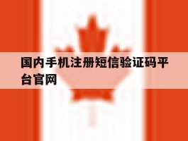 国内手机注册短信验证码平台官网