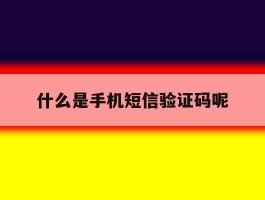什么是手机短信验证码呢