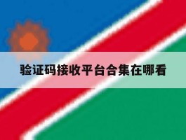 验证码接收平台合集在哪看