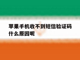 苹果手机收不到短信验证码什么原因呢