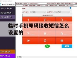 临时手机号码接收短信怎么设置的