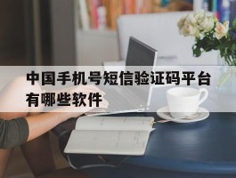 中国手机号短信验证码平台有哪些软件