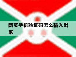 网页手机验证码怎么输入出来