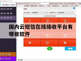 国内云短信在线接收平台有哪些软件