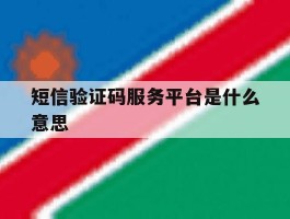 短信验证码服务平台是什么意思