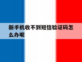 新手机收不到短信验证码怎么办呢