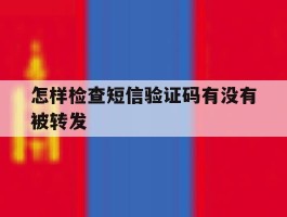 怎样检查短信验证码有没有被转发