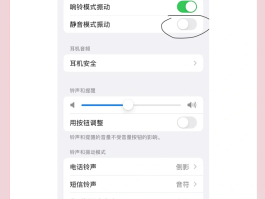 隐私小号是什么意思啊苹果13怎么设置