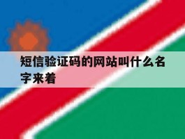 短信验证码的网站叫什么名字来着