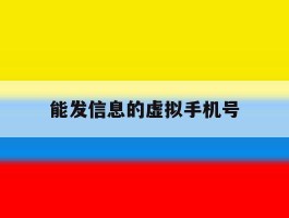 能发信息的虚拟手机号