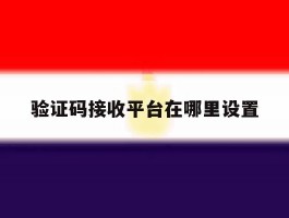验证码接收平台在哪里设置