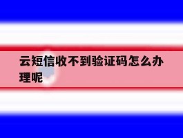 云短信收不到验证码怎么办理呢