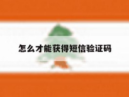 怎么才能获得短信验证码