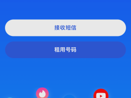 接码单什么意思