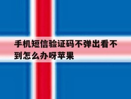 手机短信验证码不弹出看不到怎么办呀苹果