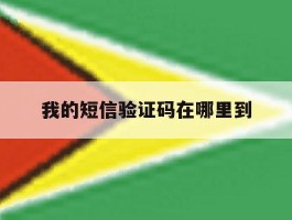 我的短信验证码在哪里到