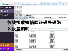 在线接收短信验证码号码怎么设置的呢