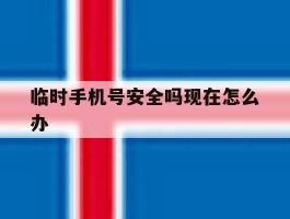 临时手机号安全吗现在怎么办