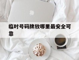 临时号码牌放哪里最安全可靠