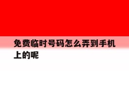 免费临时号码怎么弄到手机上的呢