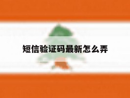 短信验证码最新怎么弄