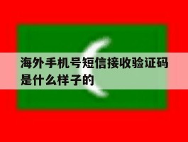 海外手机号短信接收验证码是什么样子的
